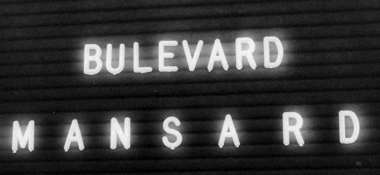 Bulevard Mansards Сату-Маре Экстерьер фото